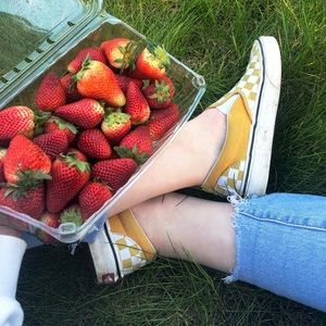 Meet your Posher, Grace